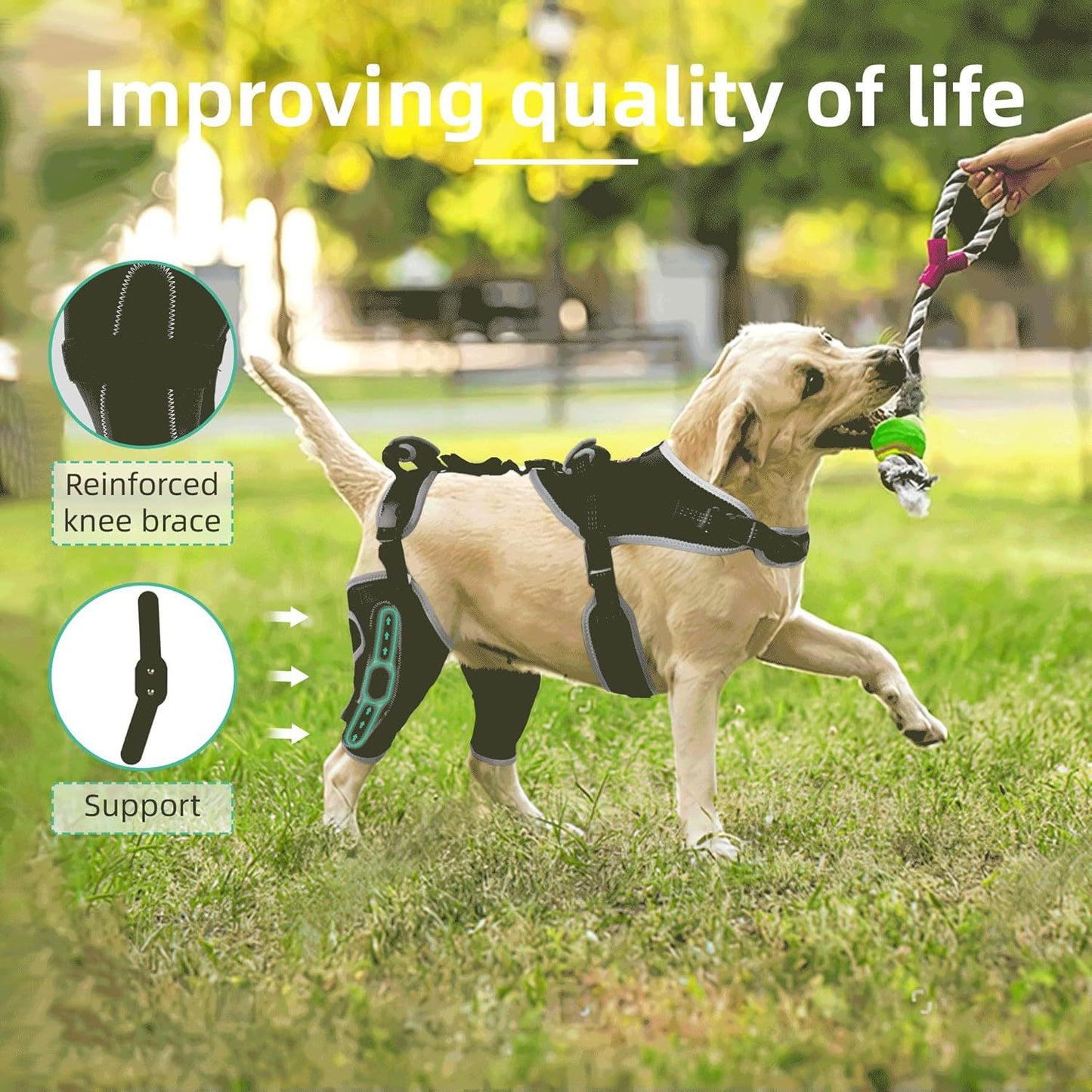 Pet Car Safety Leash - Durable, Adjustable, and Easy-to-Use Seatbelt Leash for Dogs - Available in Black, Red, and Blue