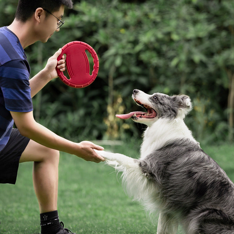 PawPlay Multifunctional Dog Toy Set - Frisbee, Ball, Teething Toy - Non-Toxic, for Active Play