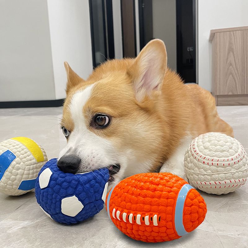 PawSport Fun Sports Toy Balls for Dogs - Diverse Shapes, Wear-resistant, Interactive Bullet Points