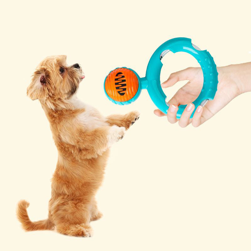 PawPlay Multifunctional Dog Toy Set - Frisbee, Ball, Teething Toy - Non-Toxic, for Active Play