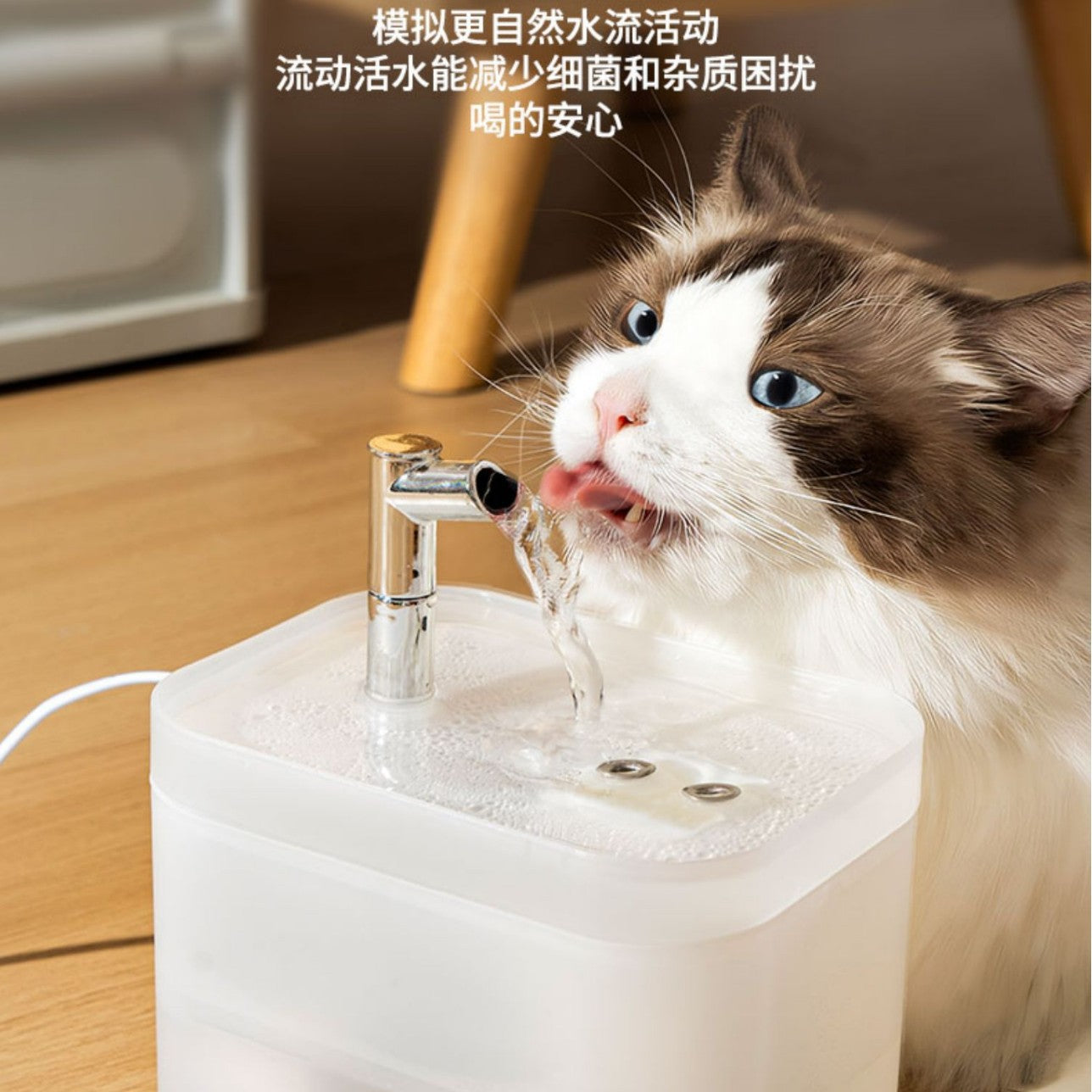 PurrFalls Stylish Cat Waterfall Fountain - Unique Design, Circulating Filtration, Quiet Operation