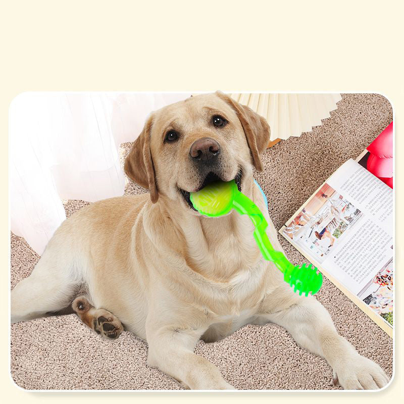 PawPlay Multifunctional Dog Toy Set - Frisbee, Ball, Teething Toy - Non-Toxic, for Active Play