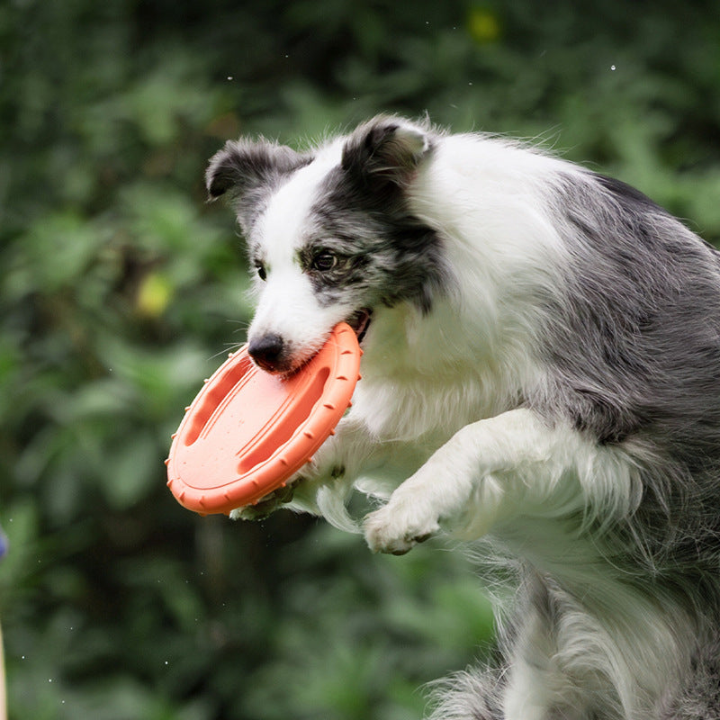 PawPlay Multifunctional Dog Toy Set - Frisbee, Ball, Teething Toy - Non-Toxic, for Active Play