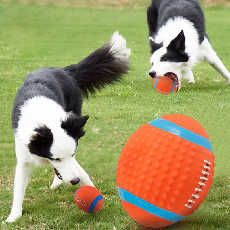 PawSport Fun Sports Toy Balls for Dogs - Diverse Shapes, Wear-resistant, Interactive Bullet Points