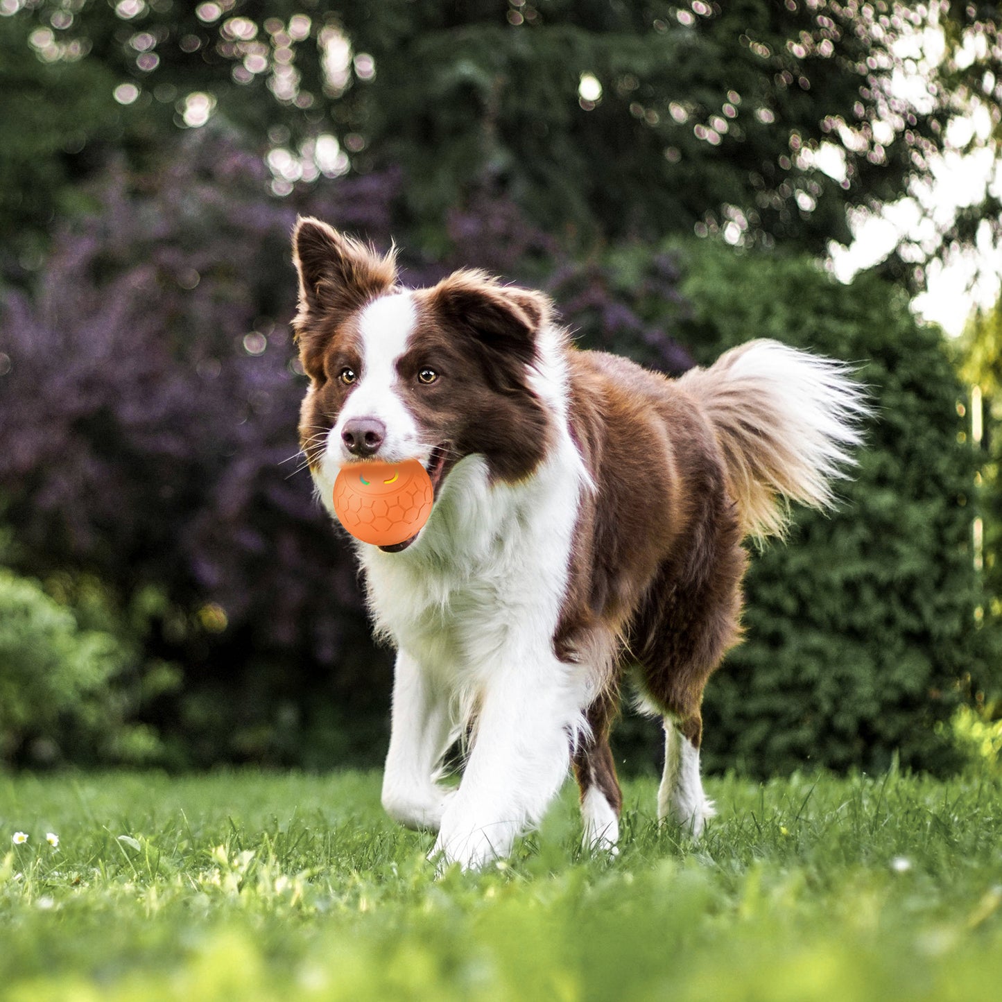 PawIQ Smart Interactive Dog Toy Ball - Fun Design, Intelligent Movement, Safe Material